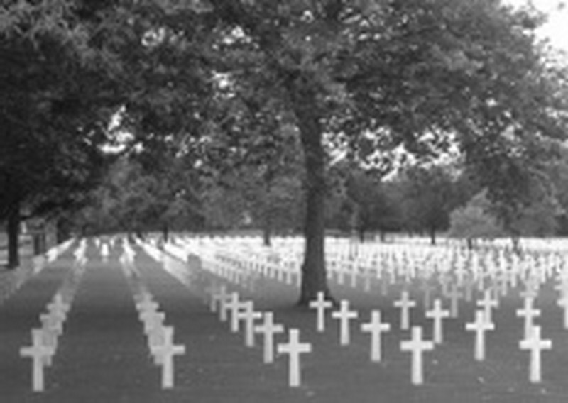 Οι απώλειες του πολέμου